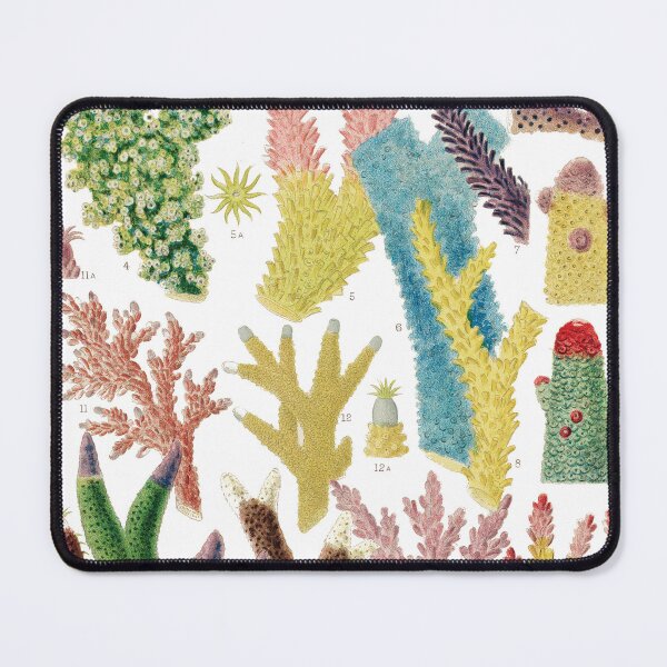 Item preview, Great Barrier Reef Corals from The Great Barrier Reef of Australia  by William Saville Kent ,the great barrier reef of australia, coral reef plant life, designed and sold by Tamas Das.