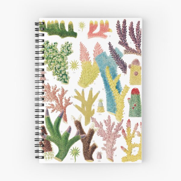 Item preview, Great Barrier Reef Corals from The Great Barrier Reef of Australia  by William Saville Kent ,the great barrier reef of australia, coral reef plant life, designed and sold by Tamas Das.