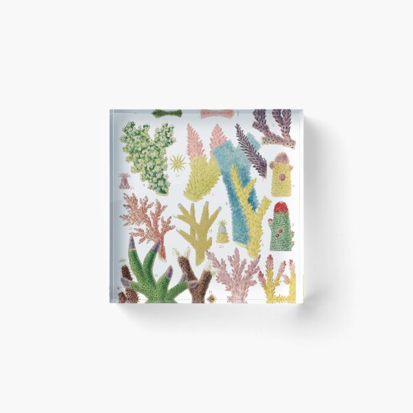 Item preview, Great Barrier Reef Corals from The Great Barrier Reef of Australia  by William Saville Kent ,the great barrier reef of australia, coral reef plant life, designed and sold by Tamas Das.