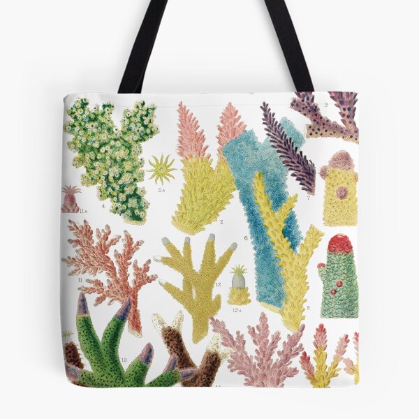 Item preview, Great Barrier Reef Corals from The Great Barrier Reef of Australia  by William Saville Kent ,the great barrier reef of australia, coral reef plant life, designed and sold by Tamas Das.