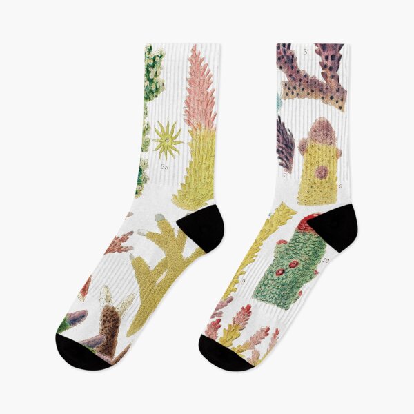 Item preview, Great Barrier Reef Corals from The Great Barrier Reef of Australia  by William Saville Kent ,the great barrier reef of australia, coral reef plant life, designed and sold by Tamas Das.
