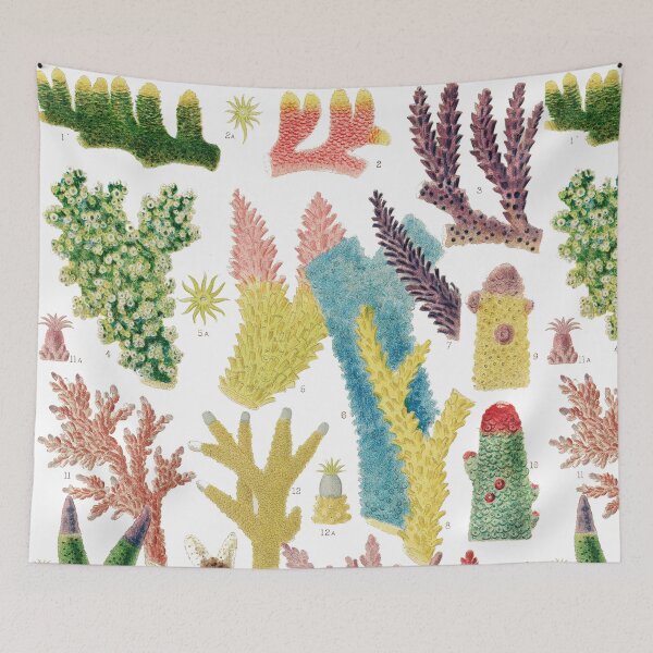 Item preview, Great Barrier Reef Corals from The Great Barrier Reef of Australia  by William Saville Kent ,the great barrier reef of australia, coral reef plant life, designed and sold by Tamas Das.