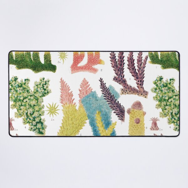 Item preview, Great Barrier Reef Corals from The Great Barrier Reef of Australia  by William Saville Kent ,the great barrier reef of australia, coral reef plant life, designed and sold by Tamas Das.