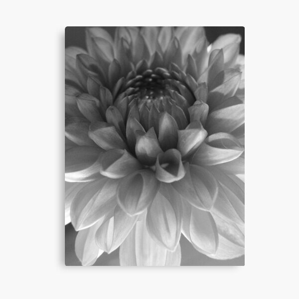Untitled Canvas Print