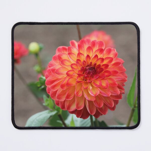 Item preview, Coral Pom Pom designed and sold by ASTRID EWING.