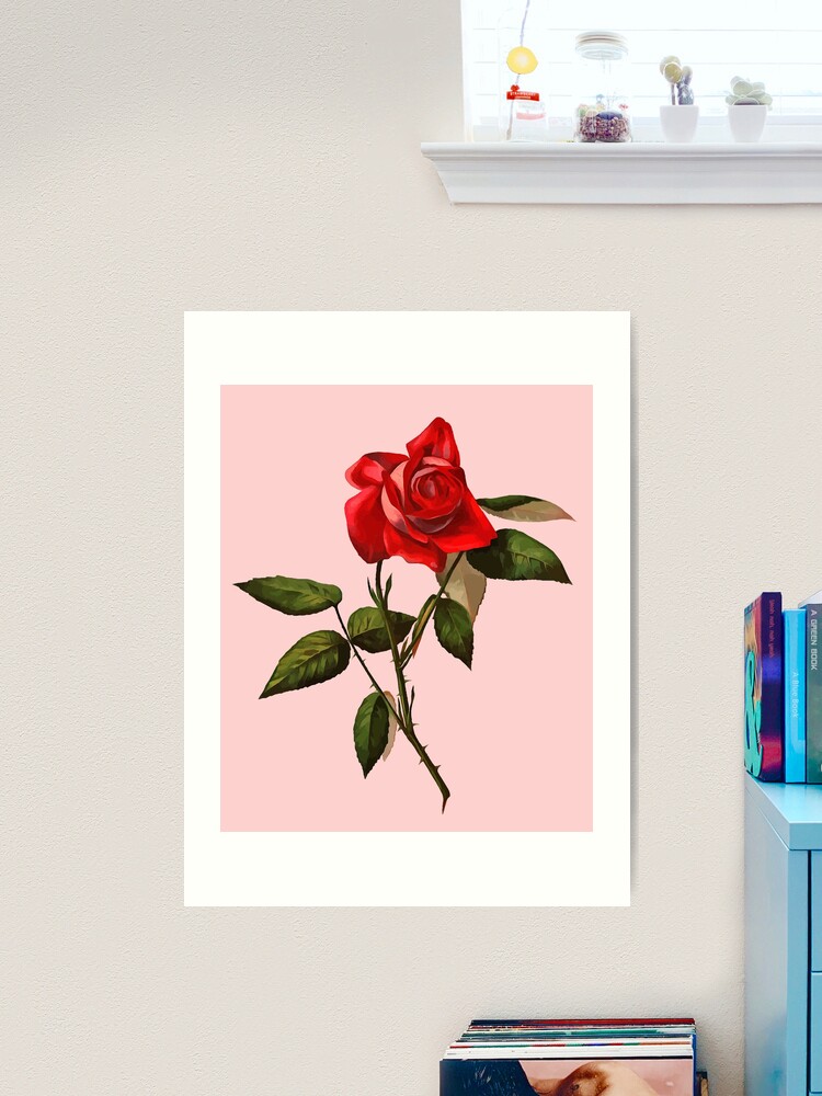 絵画 Red Rose Red & White Roses, Framed Art Print by Catherine Klein at