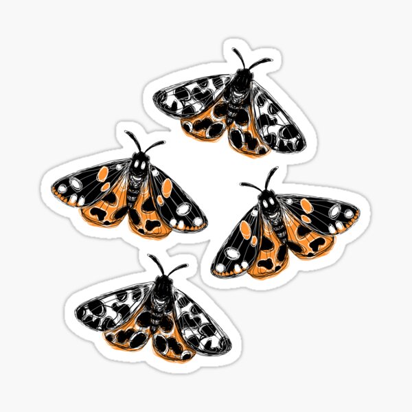 Tiger Moths Sticker