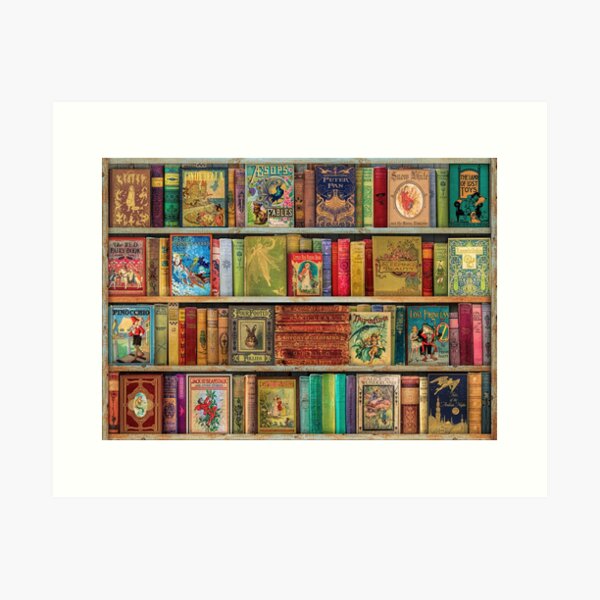 A Daydreamer's Book Shelf Art Print