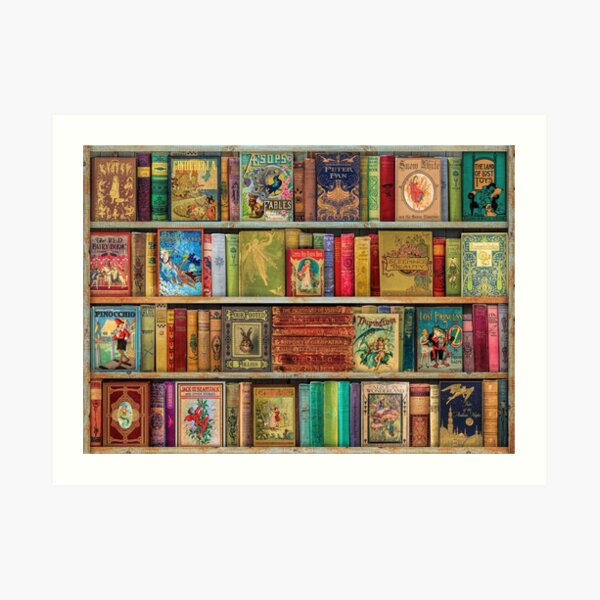 A Daydreamer's Book Shelf Art Print