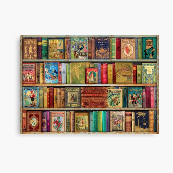 A Daydreamer's Book Shelf Canvas Print