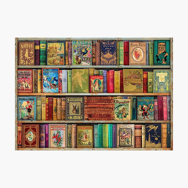A Daydreamer's Book Shelf Photographic Print