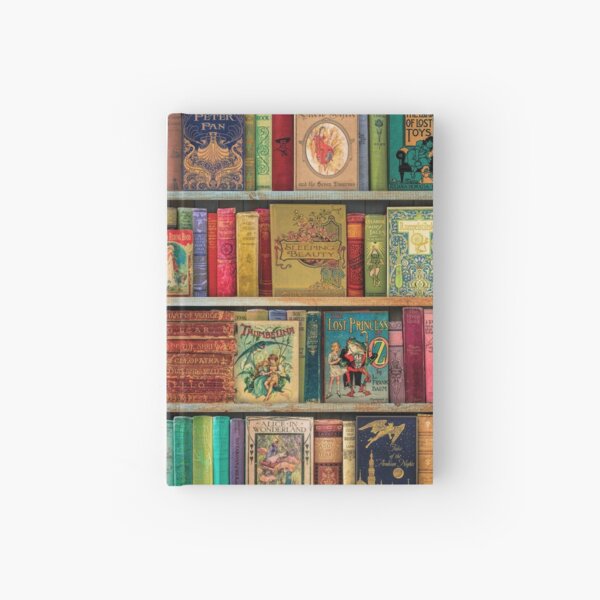 A Daydreamer's Book Shelf Hardcover Journal