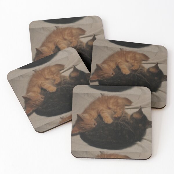 Item preview, Two kittens born in late fall early winter designed and sold by coinsxcrochet.