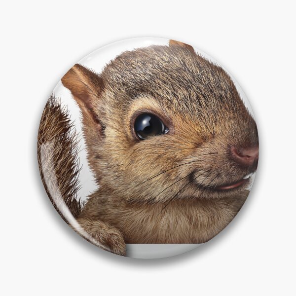 Item preview, Cute Squirrel Portrait Print - For a squirrel lover, for a nature lover, decorating squirrel print. designed and sold by Wentoo.