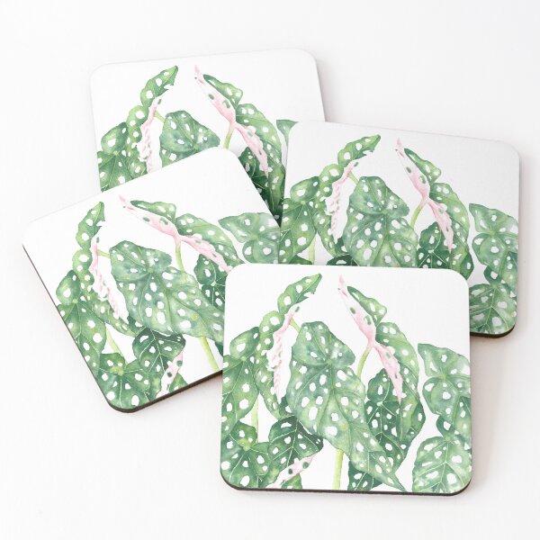 Item preview, Botanical Spotted Begonia Maculata plant leaves designed and sold by miomercado.