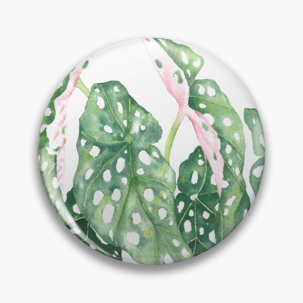 Item preview, Botanical Spotted Begonia Maculata plant leaves designed and sold by miomercado.