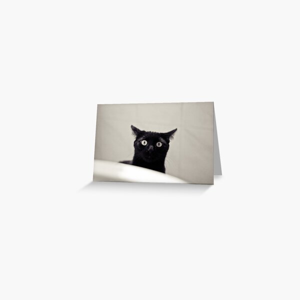 intentionally left blank Greeting Card