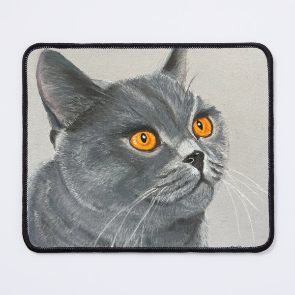 Item preview, Gray cat with orange eyes British Shorthair original drawing with pastels designed and sold by ROXANEDS.