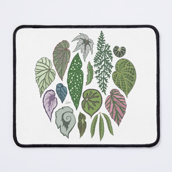 Item preview, Begonia Leaves designed and sold by TASORA.