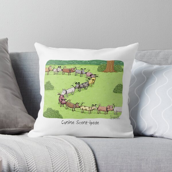 https://ih1.redbubble.net/image.4664913327.6798/throwpillow,small,600x-bg,f8f8f8-c,0,120,600,600.jpg