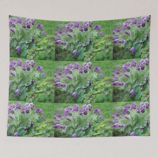 Item preview, Pasqueflower in spring // designed and sold by Lillrose.