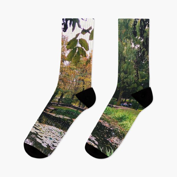 Item preview, lake with water lilies in the park designed and sold by danielpanainte.