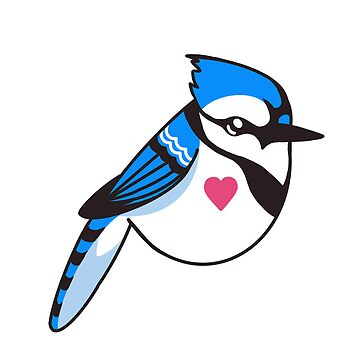 Blue jay Clipart