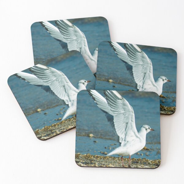 Item preview, Seagull Spreads wings designed and sold by MarkRame.