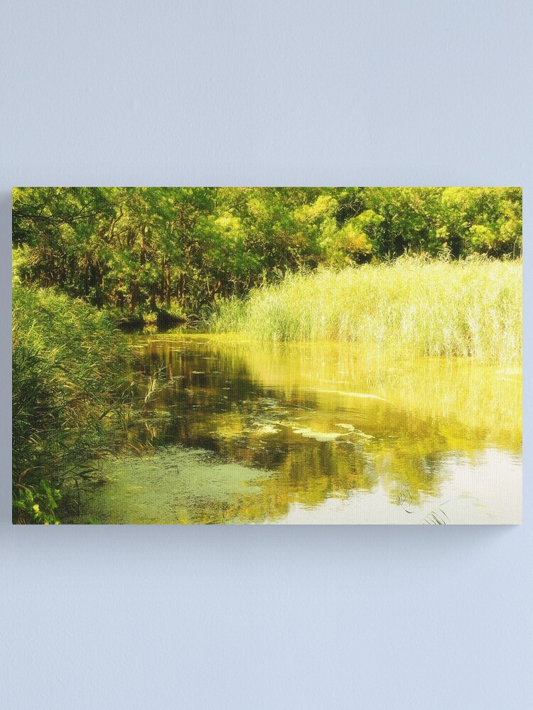 Thumbnail 1 of 3, Canvas Print, Forest River on a Sunny Summer Day designed and sold by Mallorn.
