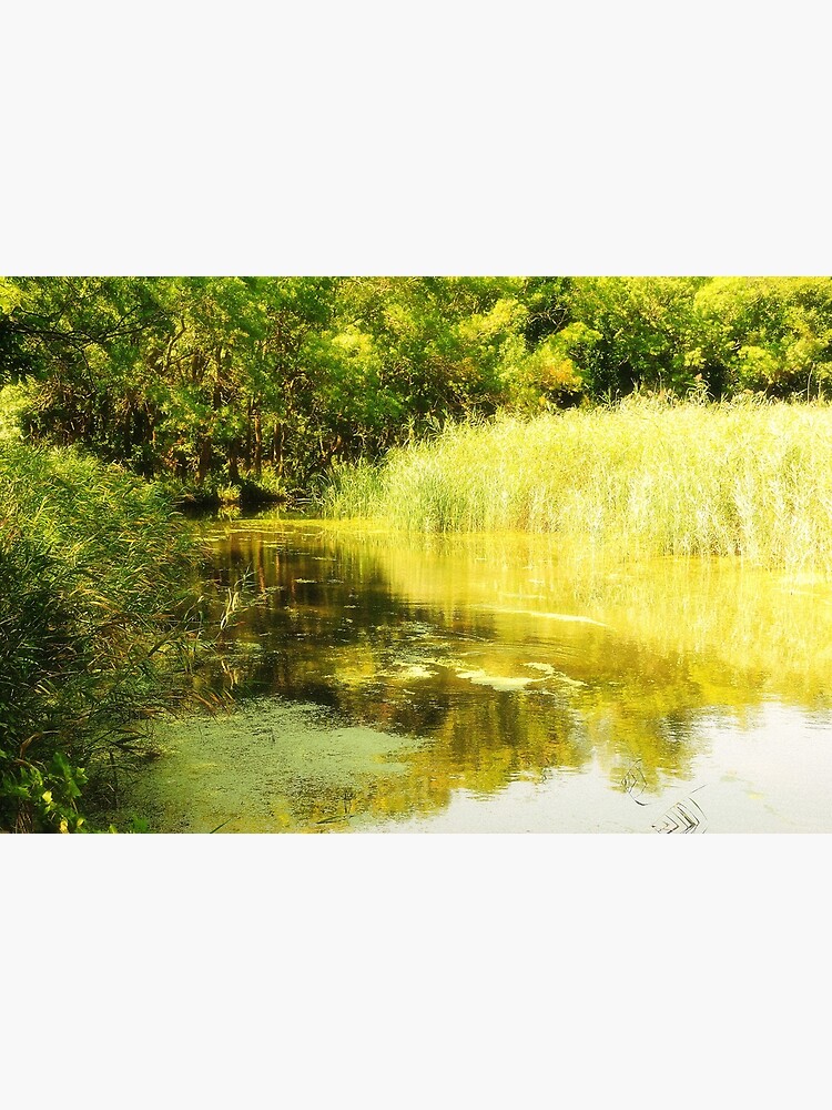 Thumbnail 3 of 3, Canvas Print, Forest River on a Sunny Summer Day designed and sold by Mallorn.