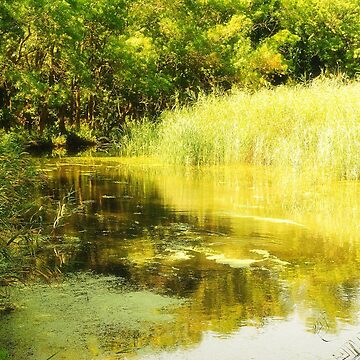 Artwork thumbnail, Forest River on a Sunny Summer Day by Mallorn