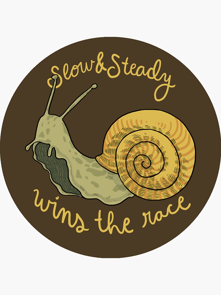 Vinyl Sticker: Slow and Steady Snail Vinyl Sticker: Slow and Steady Snail
