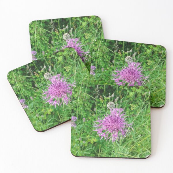 Item preview, Knapweed Flower designed and sold by SandersSP-Merch.
