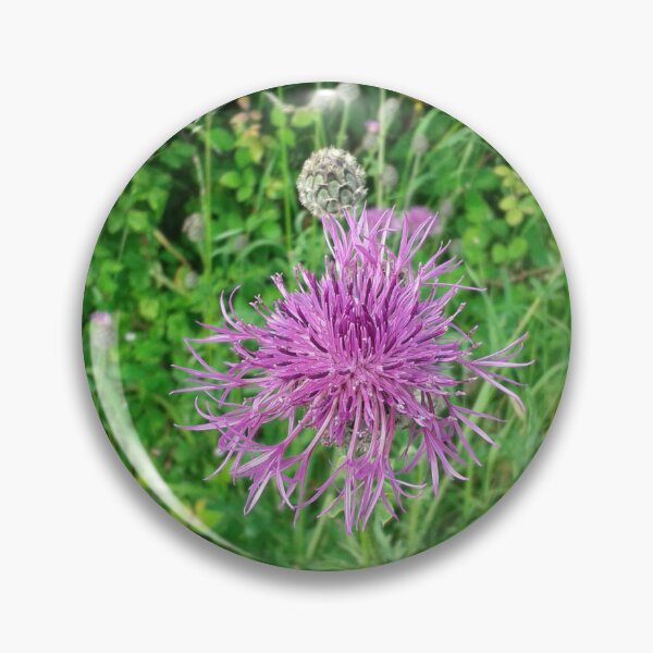 Item preview, Knapweed Flower designed and sold by SandersSP-Merch.