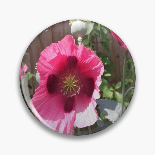 Item preview, Pink Poppies  designed and sold by SandersSP-Merch.