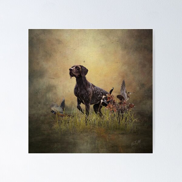 German shorthaired pointer wall art sale