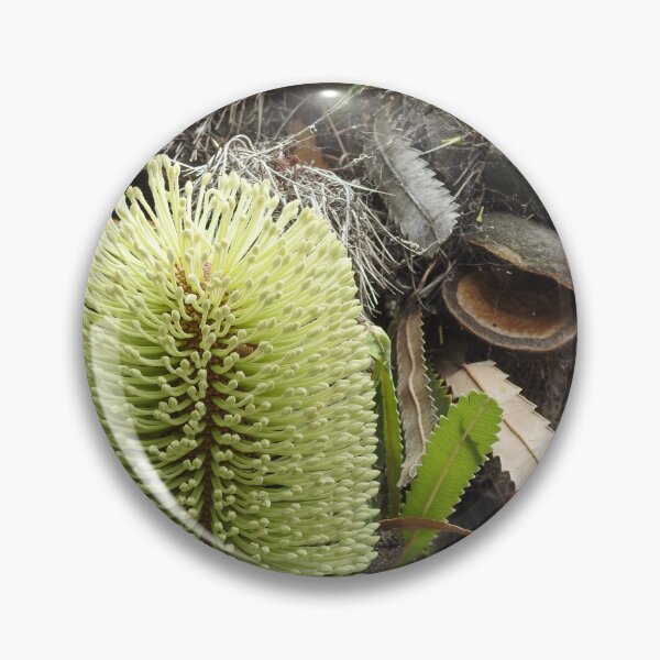 Item preview, Australian Yellow Banksia designed and sold by Martina Nicolls.