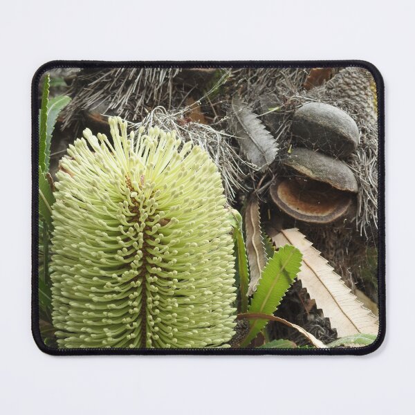 Item preview, Australian Yellow Banksia designed and sold by Martina Nicolls.