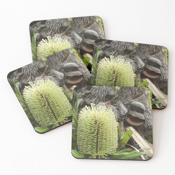 Item preview, Australian Yellow Banksia designed and sold by Martina Nicolls.