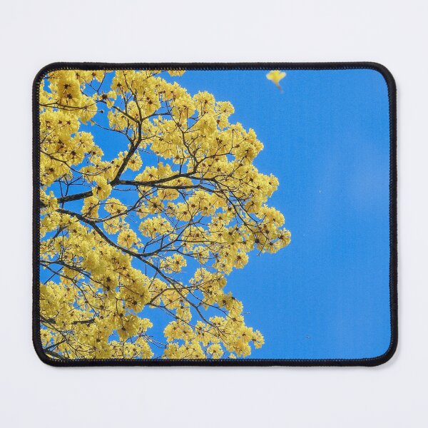 Item preview, Yellow blossoms designed and sold by Martina Nicolls.