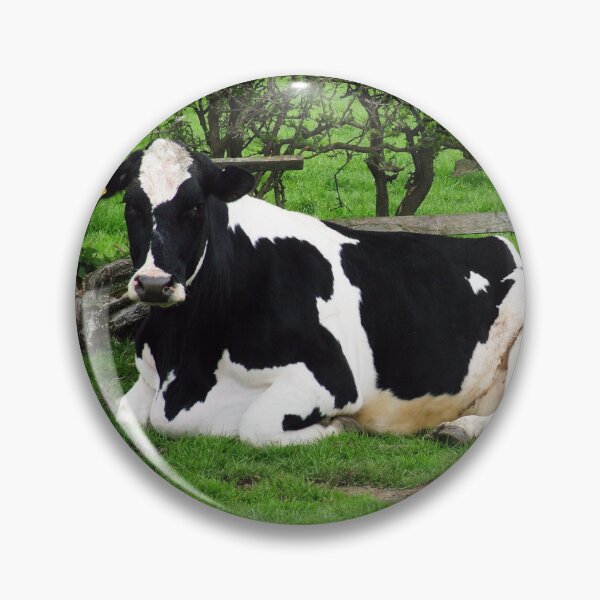 Item preview, Mum Friesian Cow And Newborn Calf designed and sold by Paul Thompson Photography.