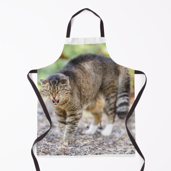 Item preview, European Shorthair Cat Hissing and Arching Back designed and sold by yhelfman.