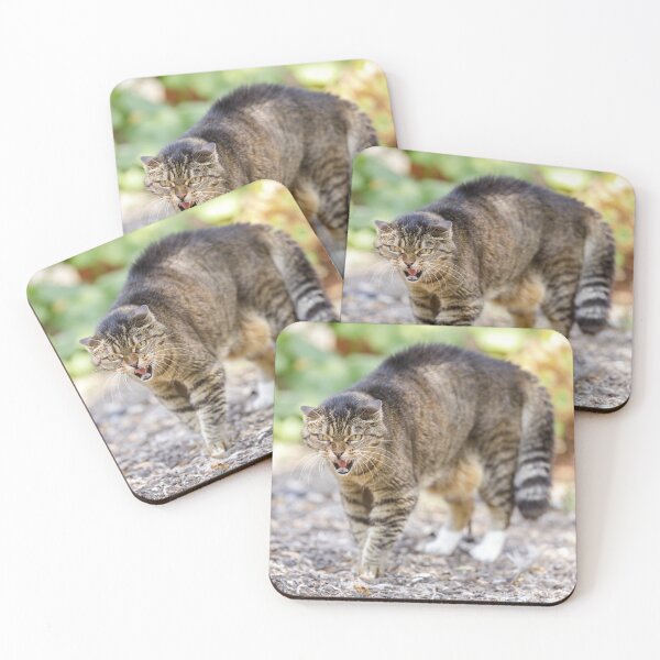 Item preview, European Shorthair Cat Hissing and Arching Back designed and sold by yhelfman.