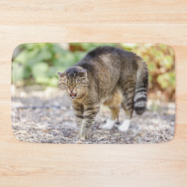 Item preview, European Shorthair Cat Hissing and Arching Back designed and sold by yhelfman.