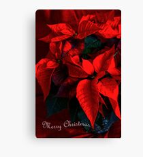 Christmas Poinsettia Canvas Print