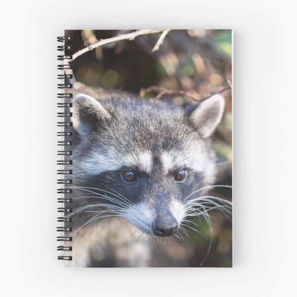 Item preview, Raccoon headshot next to Berry tree designed and sold by yhelfman.