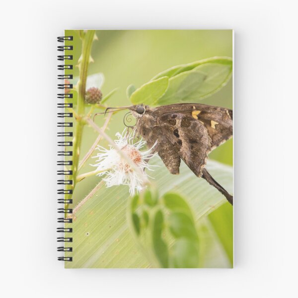 Item preview, Blurry-Striped Longtail Butterfly designed and sold by Wes Goorachan.