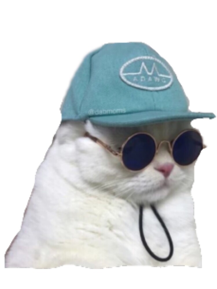 "Swag Cat" Art Print by jessicarachel | Redbubble