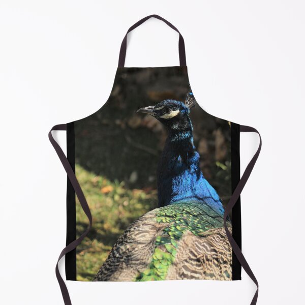 Item preview, Interested Peacock designed and sold by LyssaBunni.