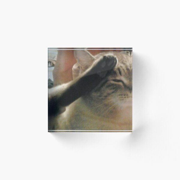 Item preview, Cat Salute designed and sold by SCha.